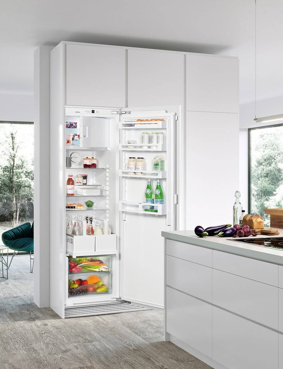 Какие встроенные холодильники лучше. Встраиваемый холодильник Liebherr. Либхер холодильник встраиваемый двухкамерный. Холодильник Liebherr IKF 3514. Либхер холодильник встраиваемый однокамерный.