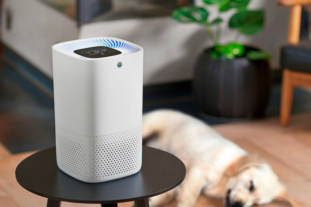 air purifier toyota